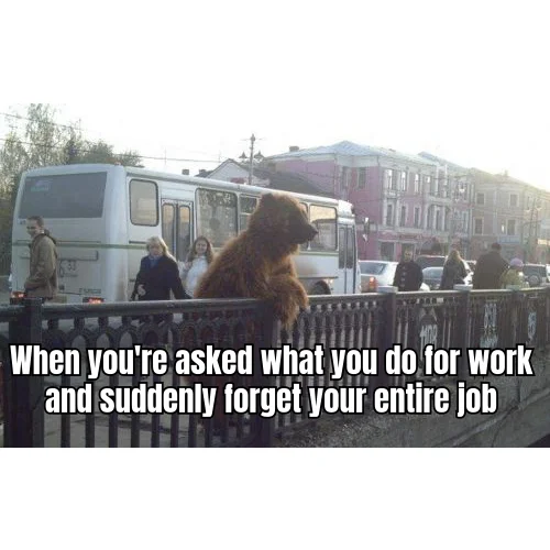 Bear On A Bridge Career Summary — Confidently dosing nootropics every morning, still cannot recall job title when asked at a party.