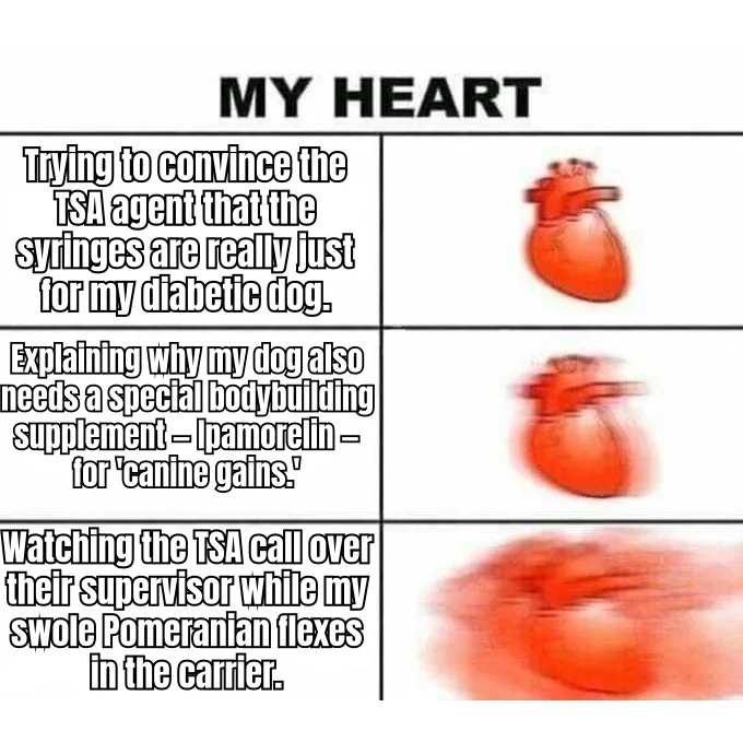Canine Gains, Federal Problems — The heart rate climbs in three acts as a peptide bro tries to smuggle a stack past TSA by blaming the Pomeranian.