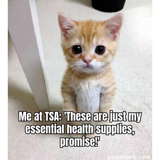 Carry-On Compliance Kitten — Pleading eyes deployed at 40,000 feet as the amber vial arsenal enters the X-ray belt.