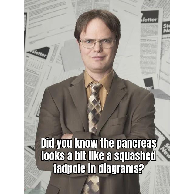 Deflection Protocol: Endocrinology Suite — When the lab panel hits the desk and your only defense is unsolicited pancreatic trivia.