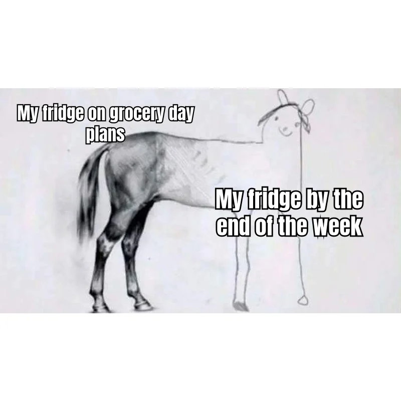 Grocery Day Expectations vs. Appetite Reality — You planned a stallion of a meal prep. The GLP-1 delivered a stick-figure giraffe-horse with one wilting lime.