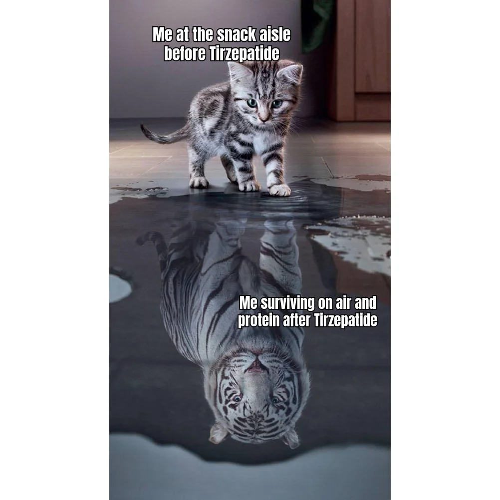 Kitten In The Puddle Sees A Tiger — The snack aisle used to be a battlefield; now it's a hallway you walk through on the way to the rotisserie counter.