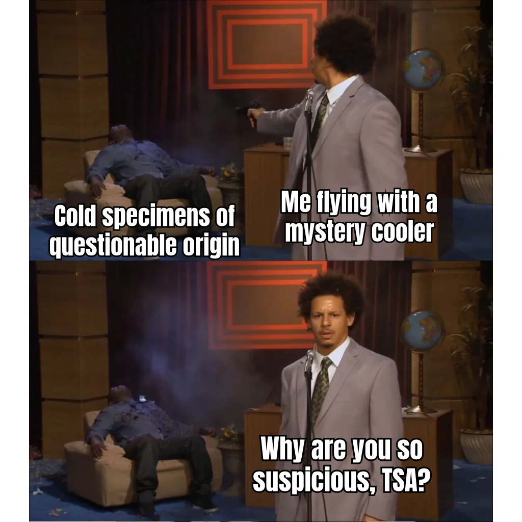 Mystery Cooler, Clean Conscience — The peptide hobbyist has done nothing wrong and cannot understand why the checkpoint keeps asking about the ice packs.