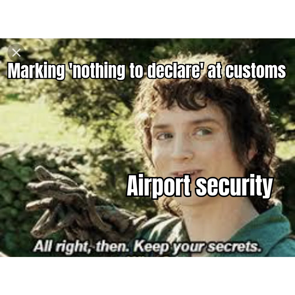 Nothing To Declare — The cooler hums. The form says no. Frodo-coded customs agent decides today is not the day.