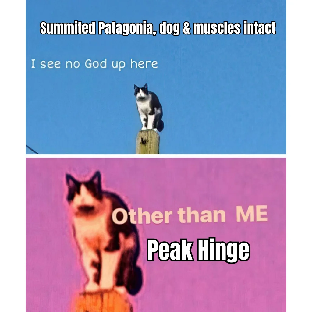 Peak Hinge Protocol — Six-photo dating app dump engineered to signal that the subject has transcended the swipe economy entirely.