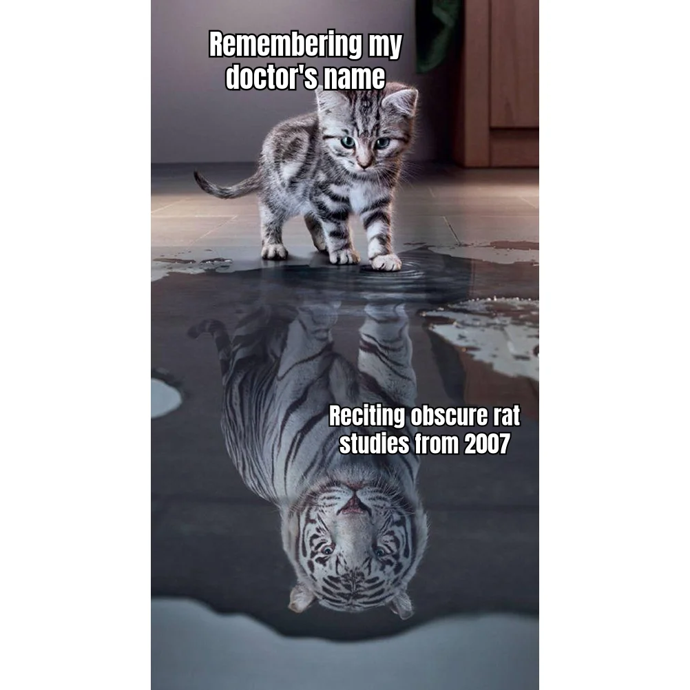 PubMed Tiger, Primary Care Kitten — Can quote the 2007 Sprague-Dawley femur regrowth paper from memory. Cannot recall the name of the GP they haven't seen since 2019.