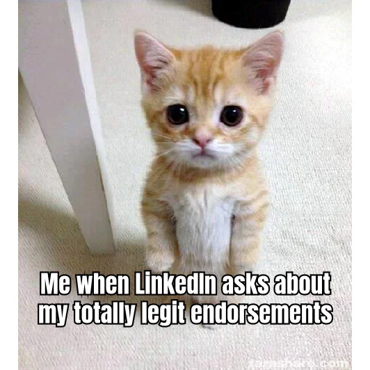 Reconstitution: Endorsed by 47 Strangers — Your LinkedIn Skills section now reads like a compounding pharmacy intake form, and _GainzLab_42 just vouched for your Subcutaneous Injection technique.