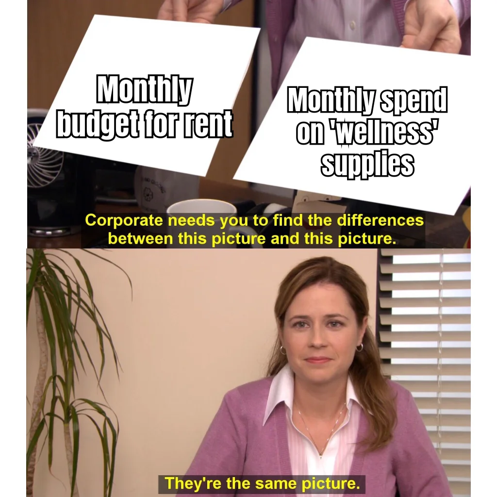 Rent vs. Bac Water: They're The Same Picture — The pie chart has two slices and they are both labeled 'syringes,' which is fine because syringes are a form of shelter.