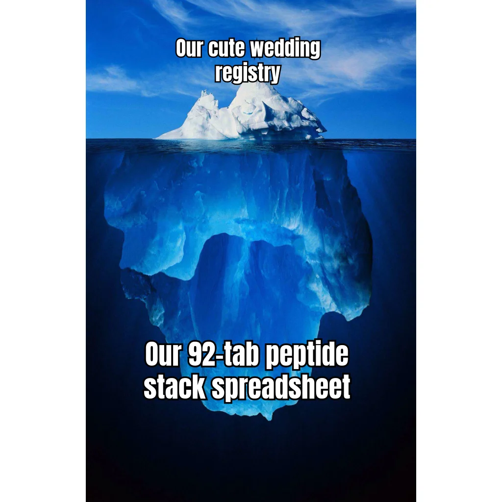 Shared Goals: The Spreadsheet — The registry has a KitchenAid. The spreadsheet has a reconstitution calculator, a titration log, and a tab named 'Q4 Recomp.'