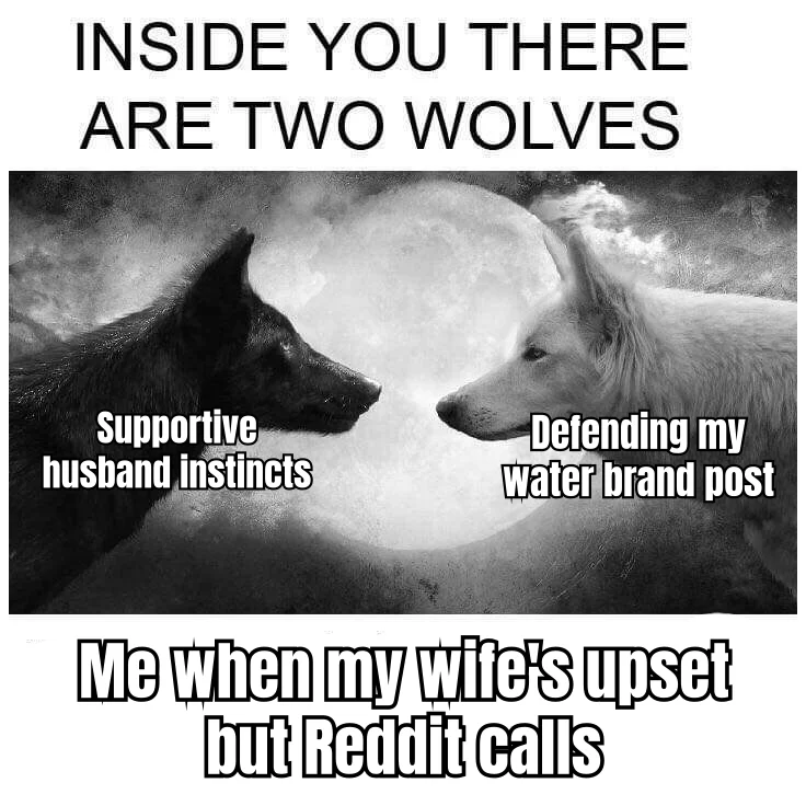 The Bacteriostatic Water Discourse Wolf — A man chooses a 47-minute thread defending his preferred bac water vendor over the woman crying three feet away.
